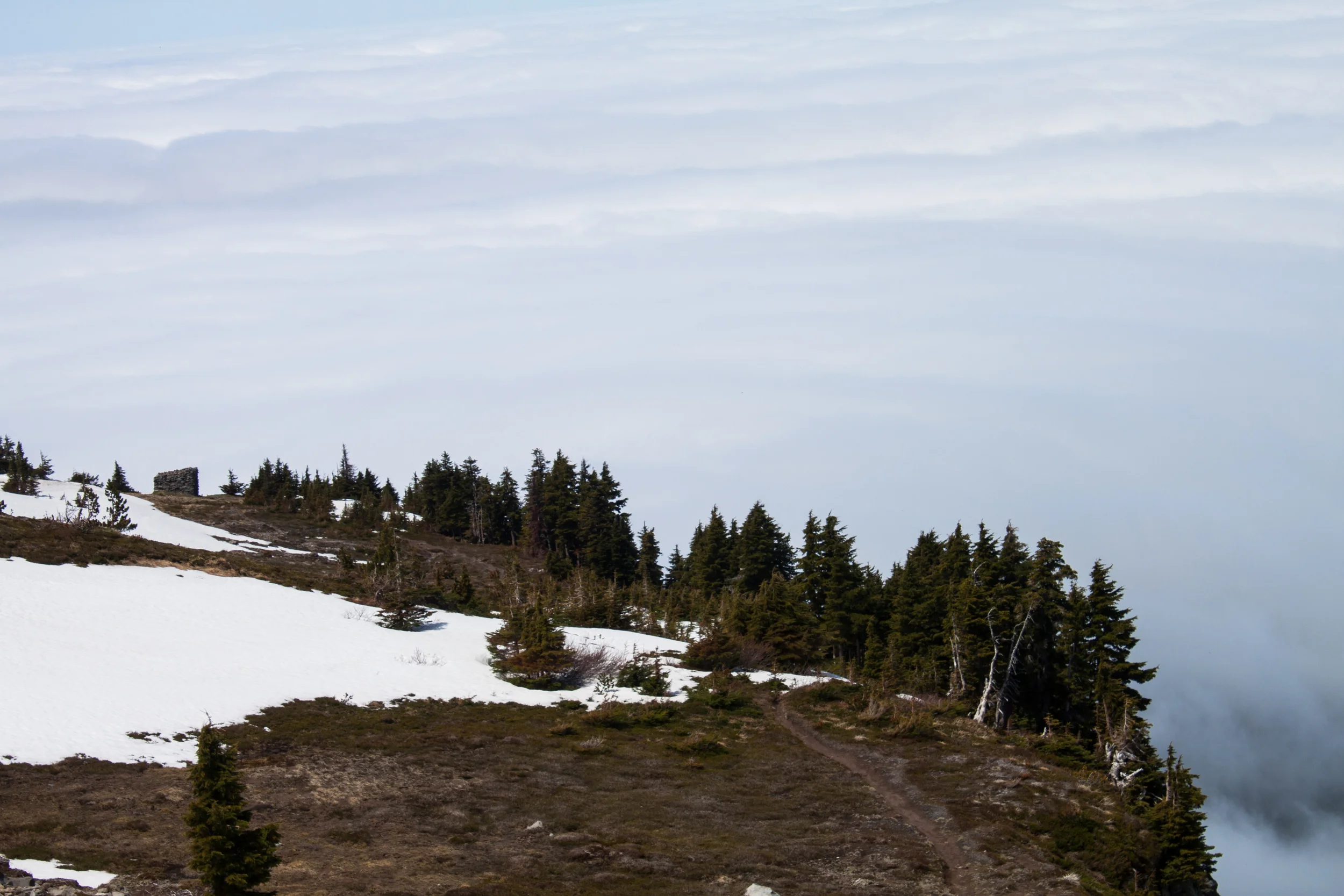 IMG_5817.jpg