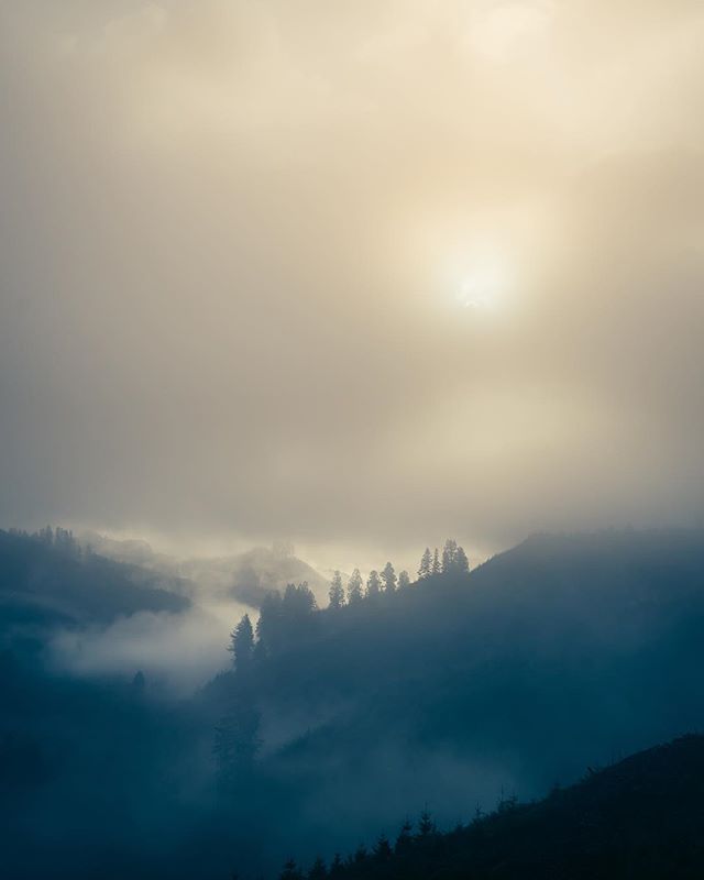 Early mornings. Crisp air. Eerie fog. Yep, it's November. // Logsden, OR
.
.
.
#huntingseason #pnw #fog #forest #sunrise #pnwonderland #oregon #oregonnw #exploregon #bewild #wildernessculture #leupoldcore #landscapephotography