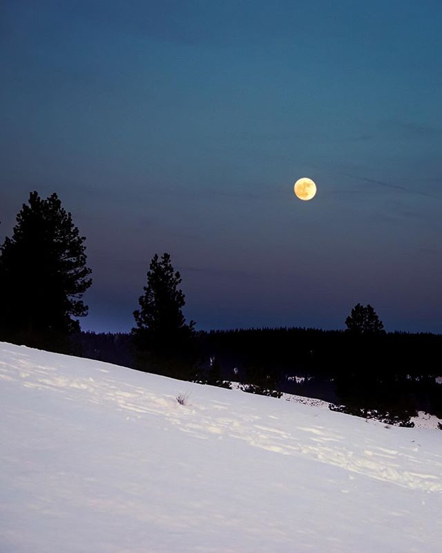 Super 🌚 // Tollgate, OR
.
.
.
.
.
#supermoon #newyearsday #moon #easternoregon #bluemountains #oregon #oregonexplored #oregonlife #discoveroregon #exploregon #exploreoregon #bestoforegon #pacificnw #pnw #pnwonderland #pnwlife #pnwphotography #pnwisb