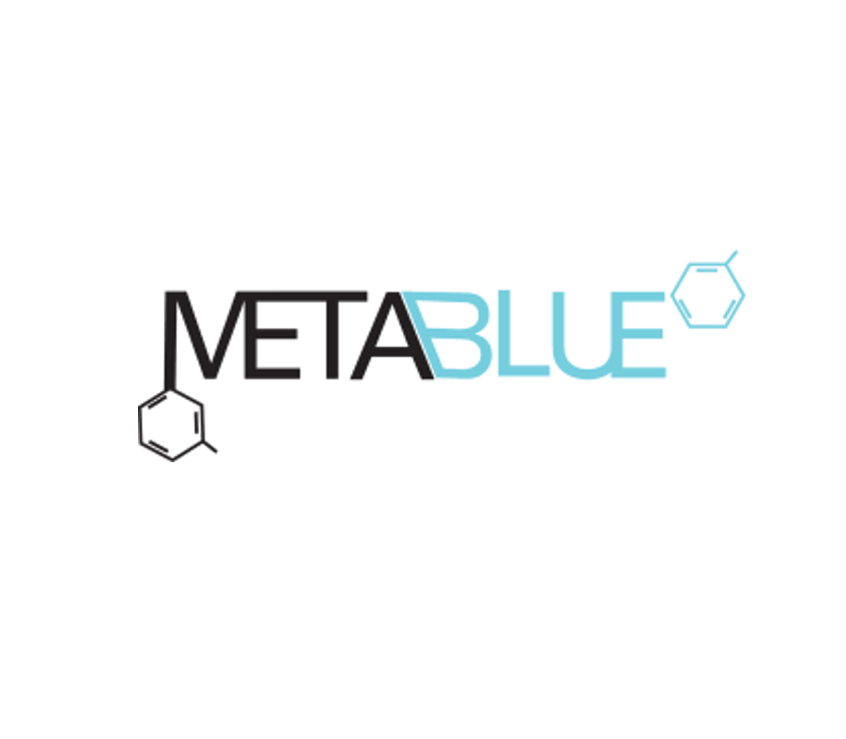 metablue logo for web.png