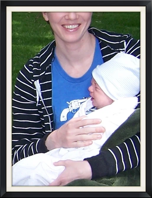 (click on image to enlarge)