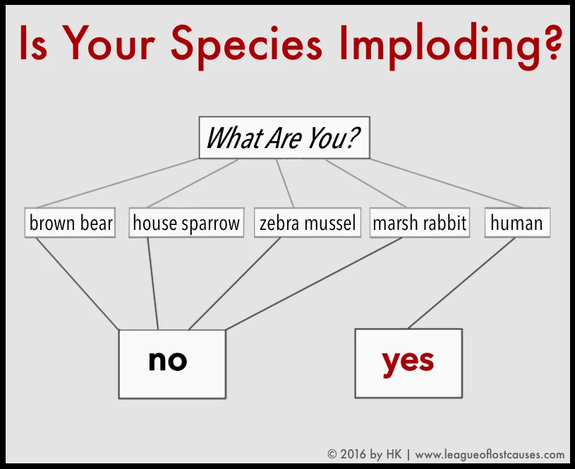 (click on image to enlarge)