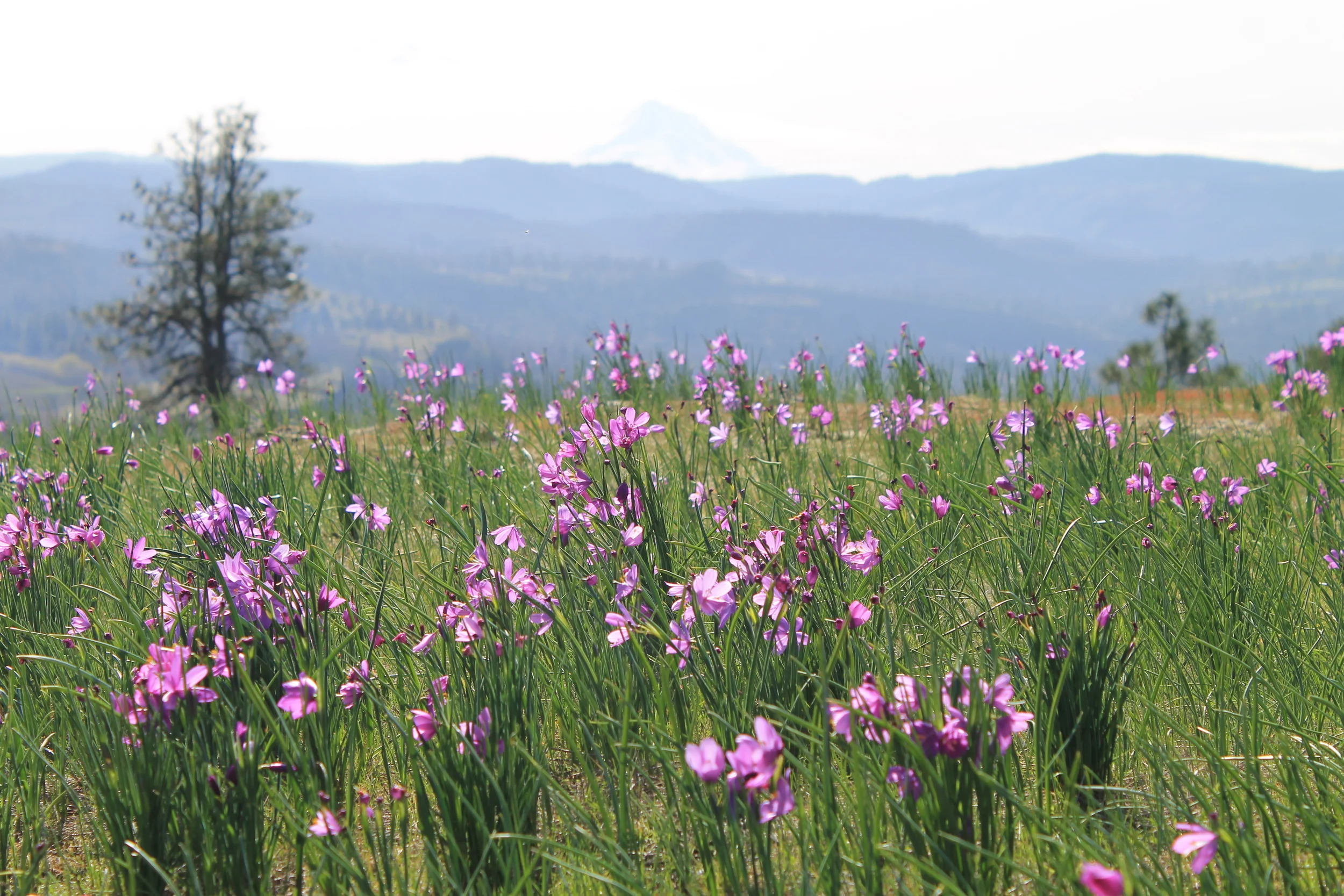 How Deeply do you Breathe?