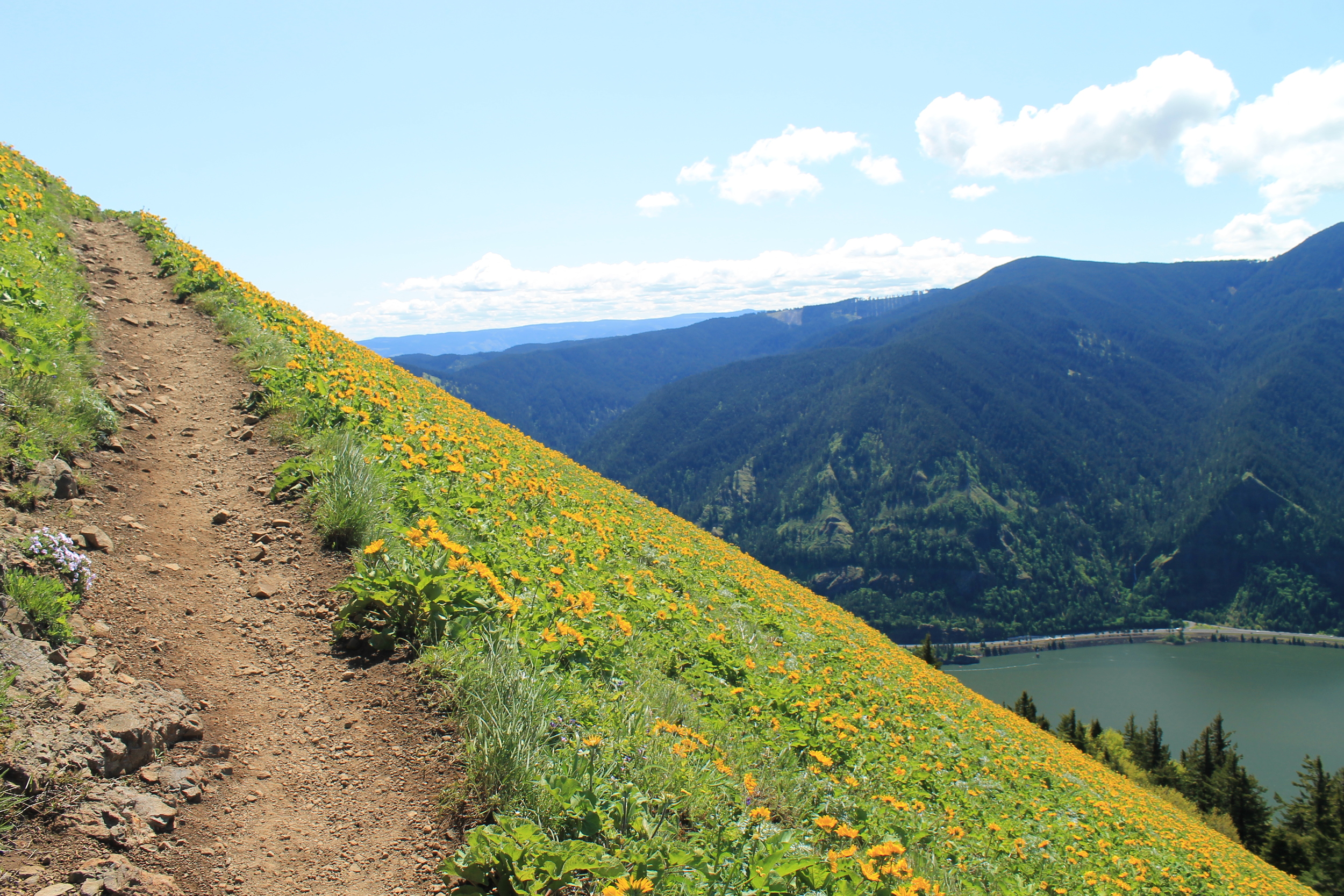 Client Highlight: Sara