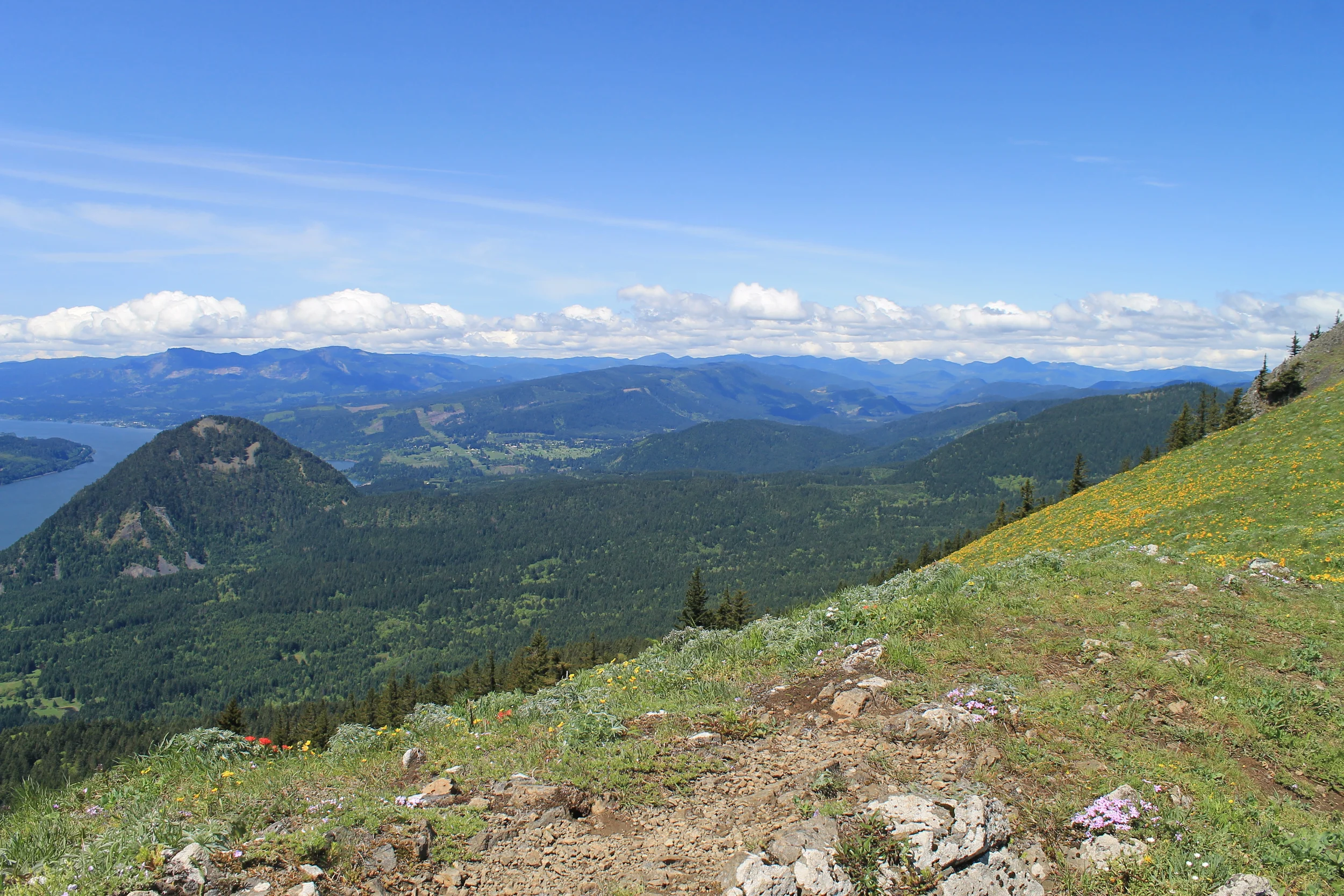 Client Highlight: Sara Continued...