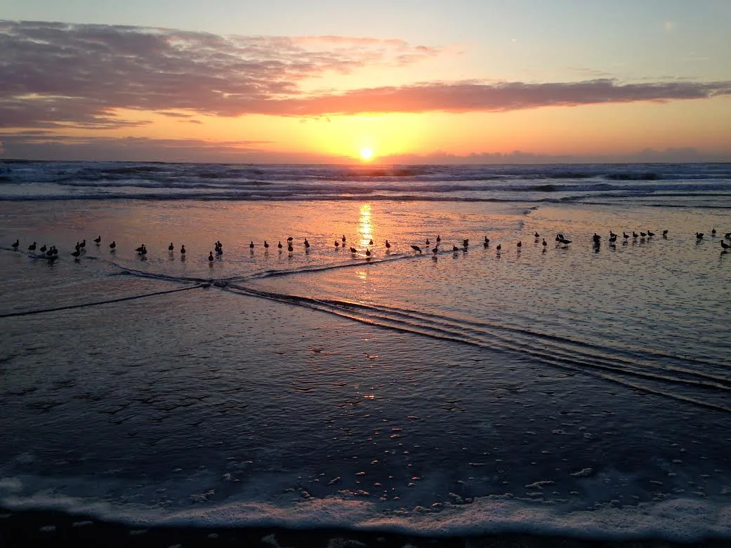 Swimming Injury Prevention