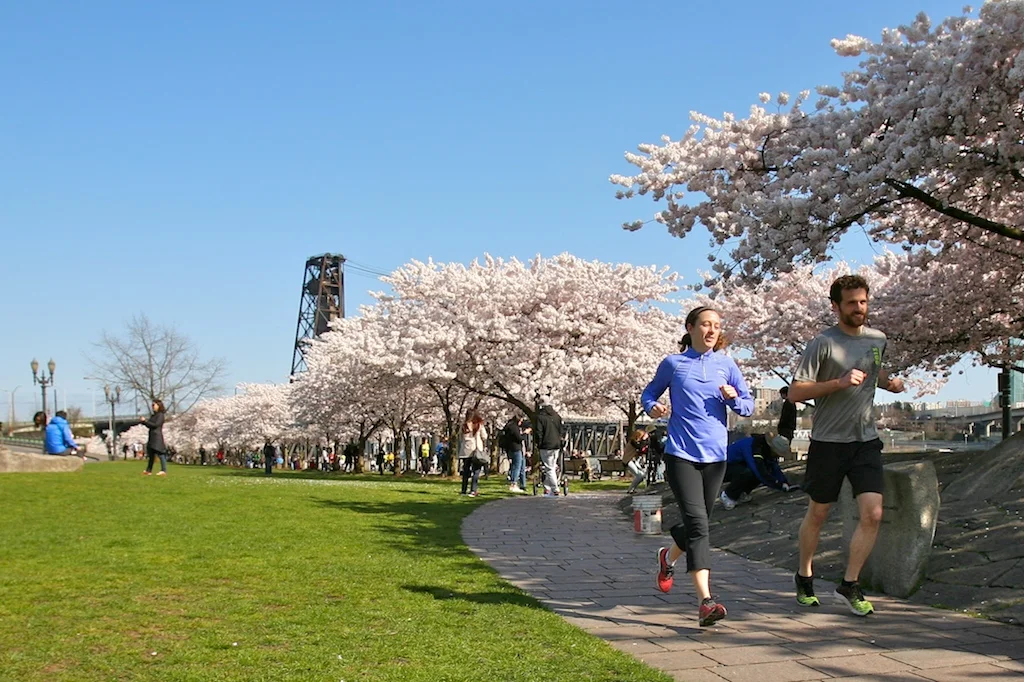 UPDATE! :) Whole Body Health PT is expanding!