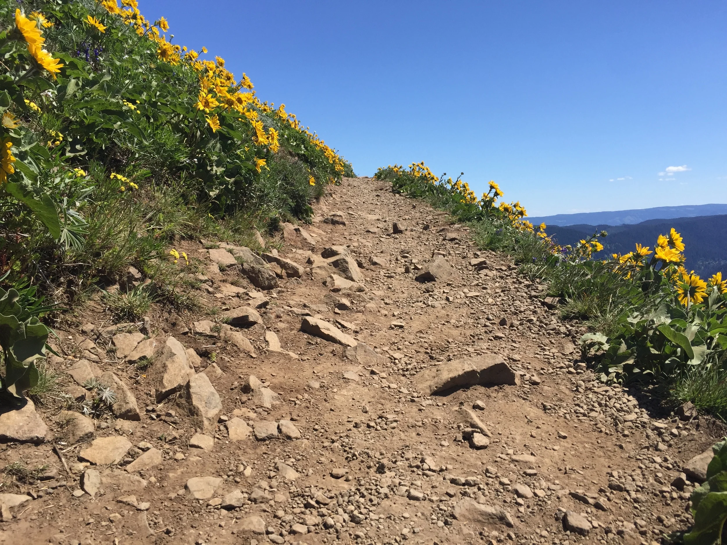 The Answers to Common Hiking Questions