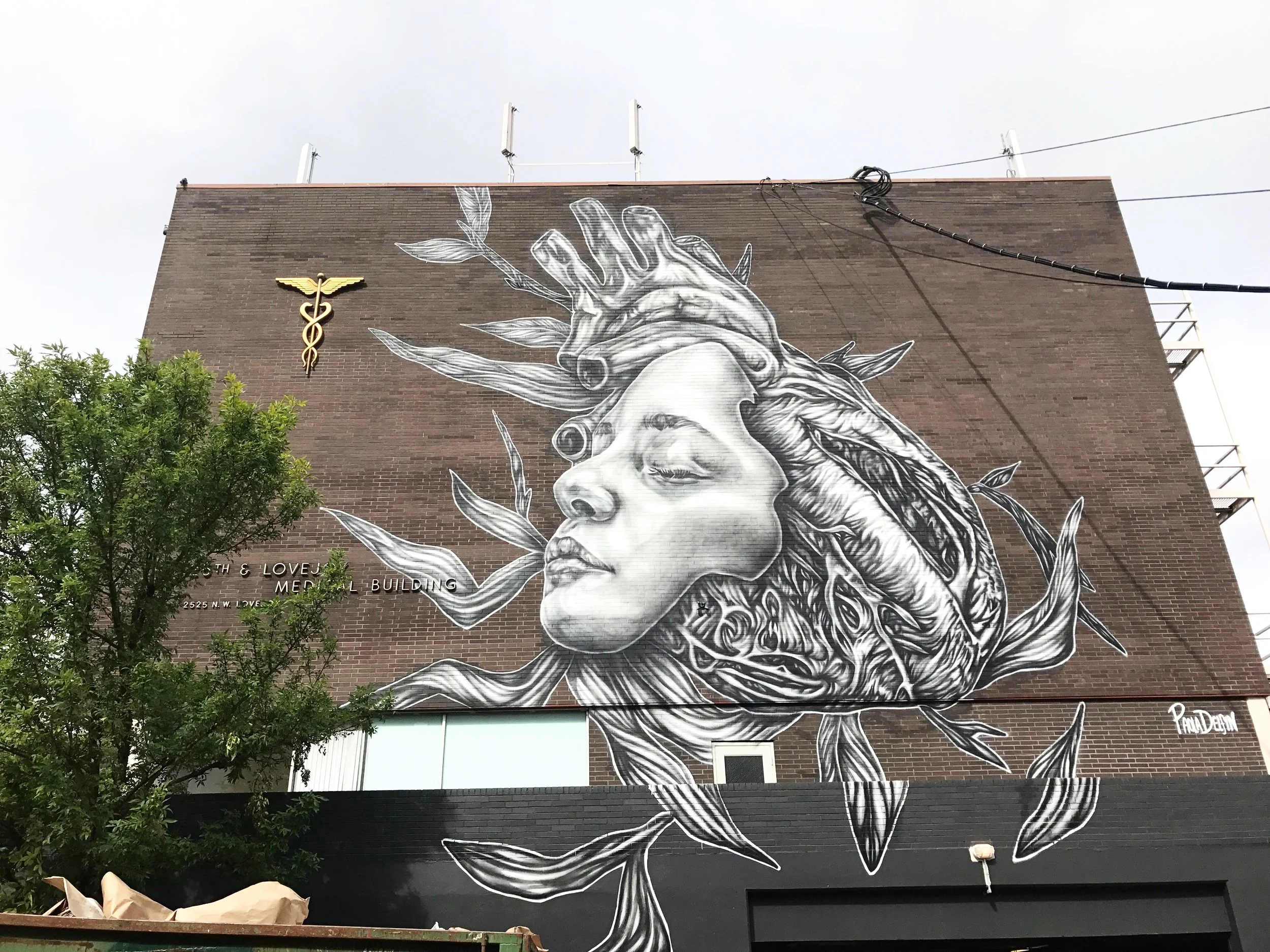 The New NW Clinic Has What???