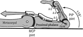 Finger Pulley System.gif