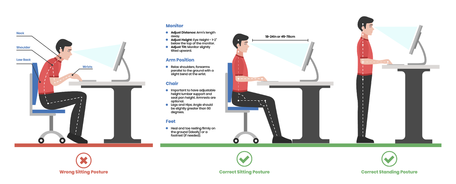 How to set up an ergonomic workstation at home — Whole Body Health Physical  Therapy Portland. Oregon