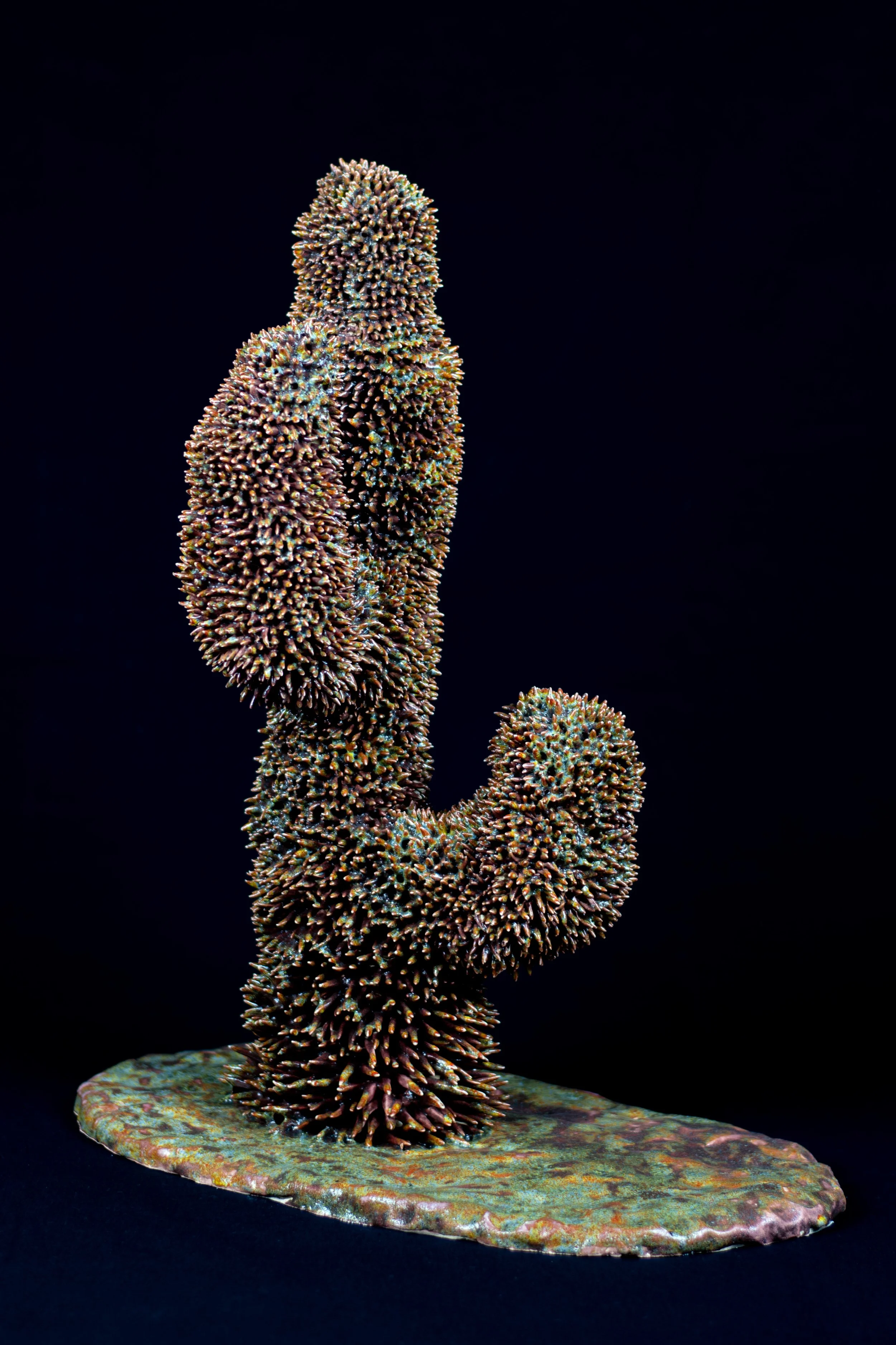 DSC_0028 kopiëren.jpg