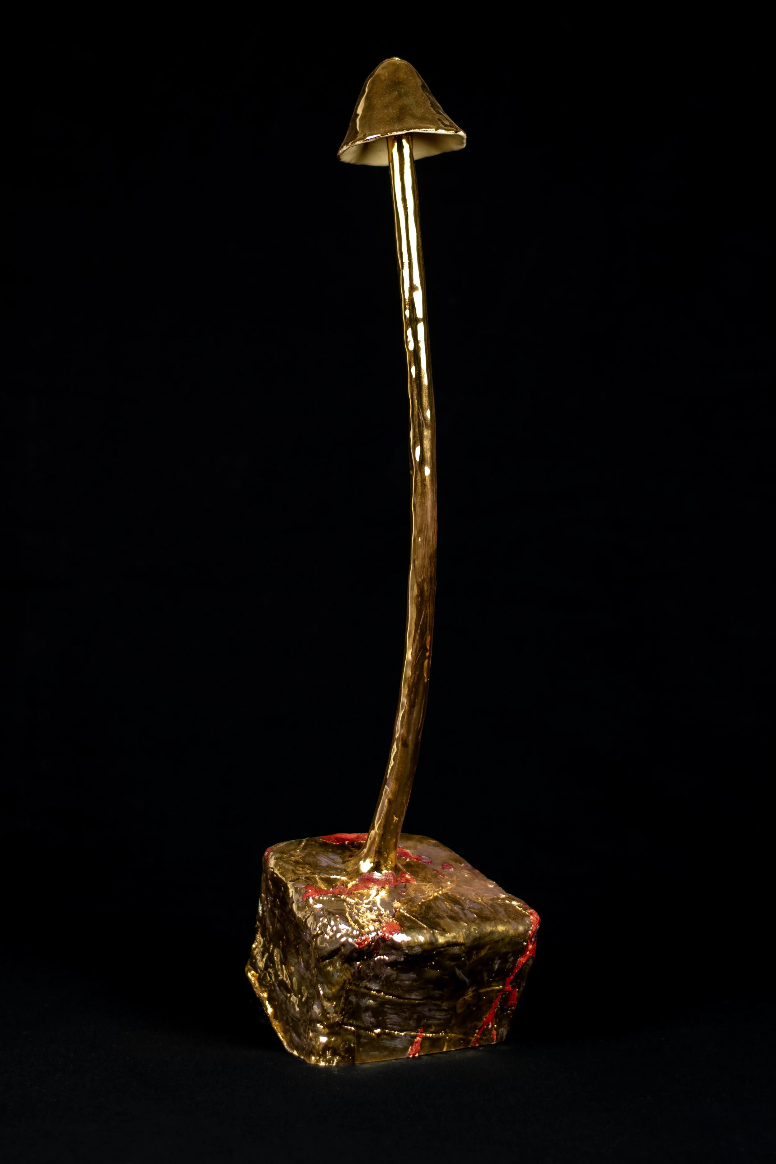 DSC_0027 kopiëren(1).jpg