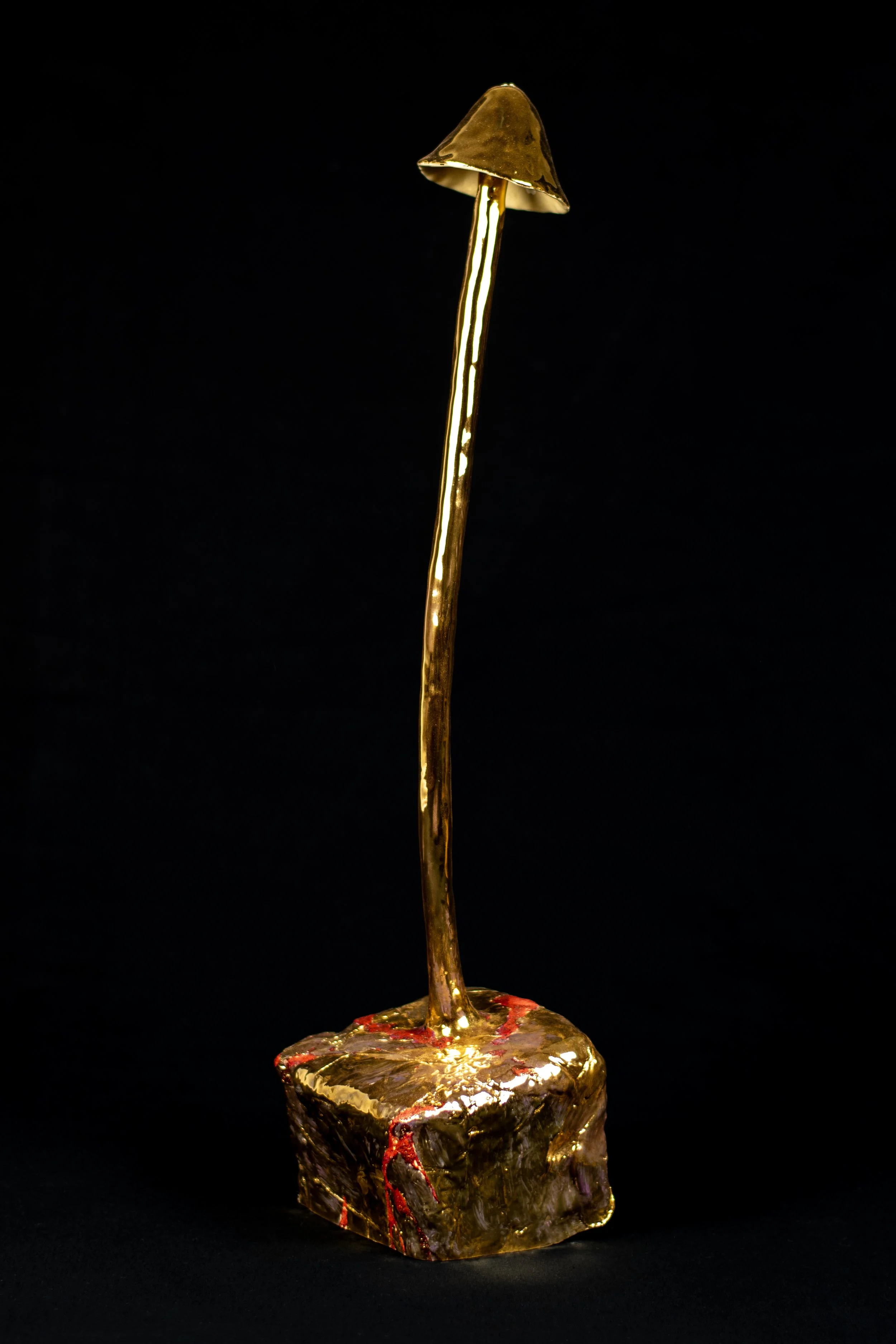 DSC_0026-2 kopiëren.jpg