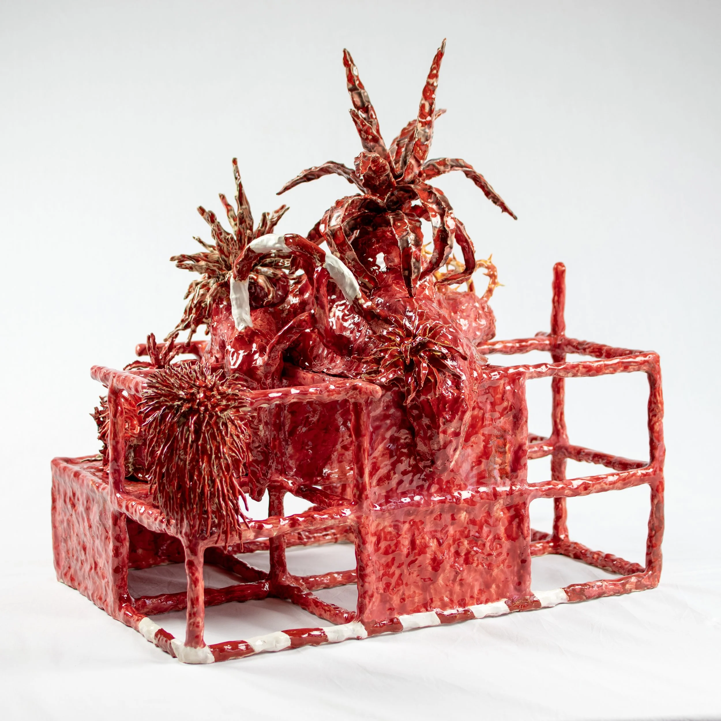 DSC_0006 kopiëren.jpg