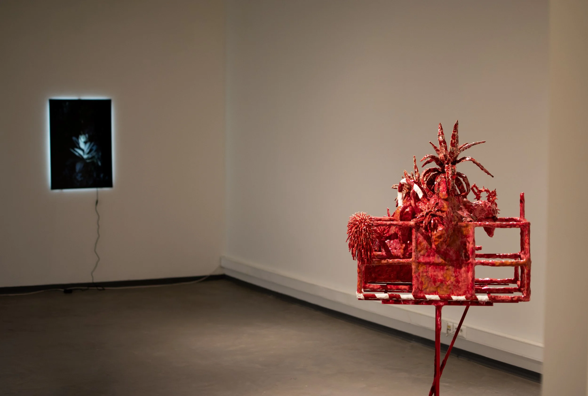 DSC_0059 kopiëren.jpg