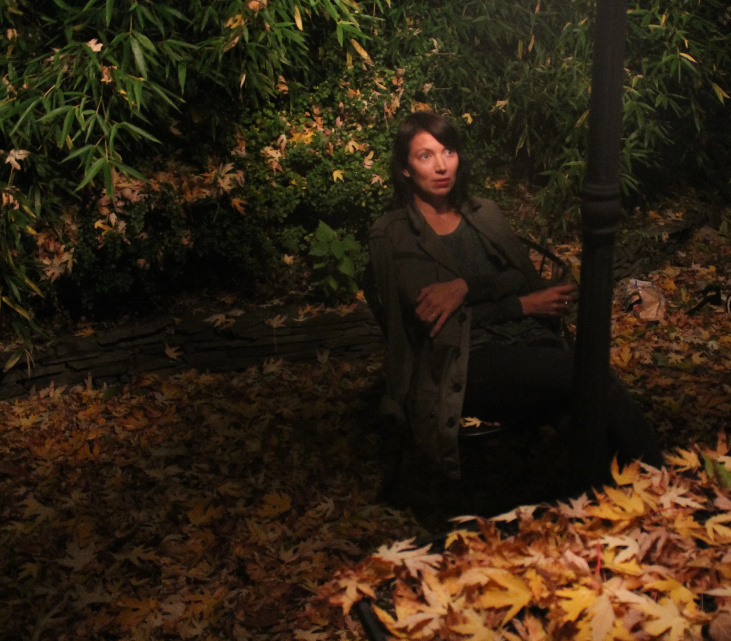 October night leaves