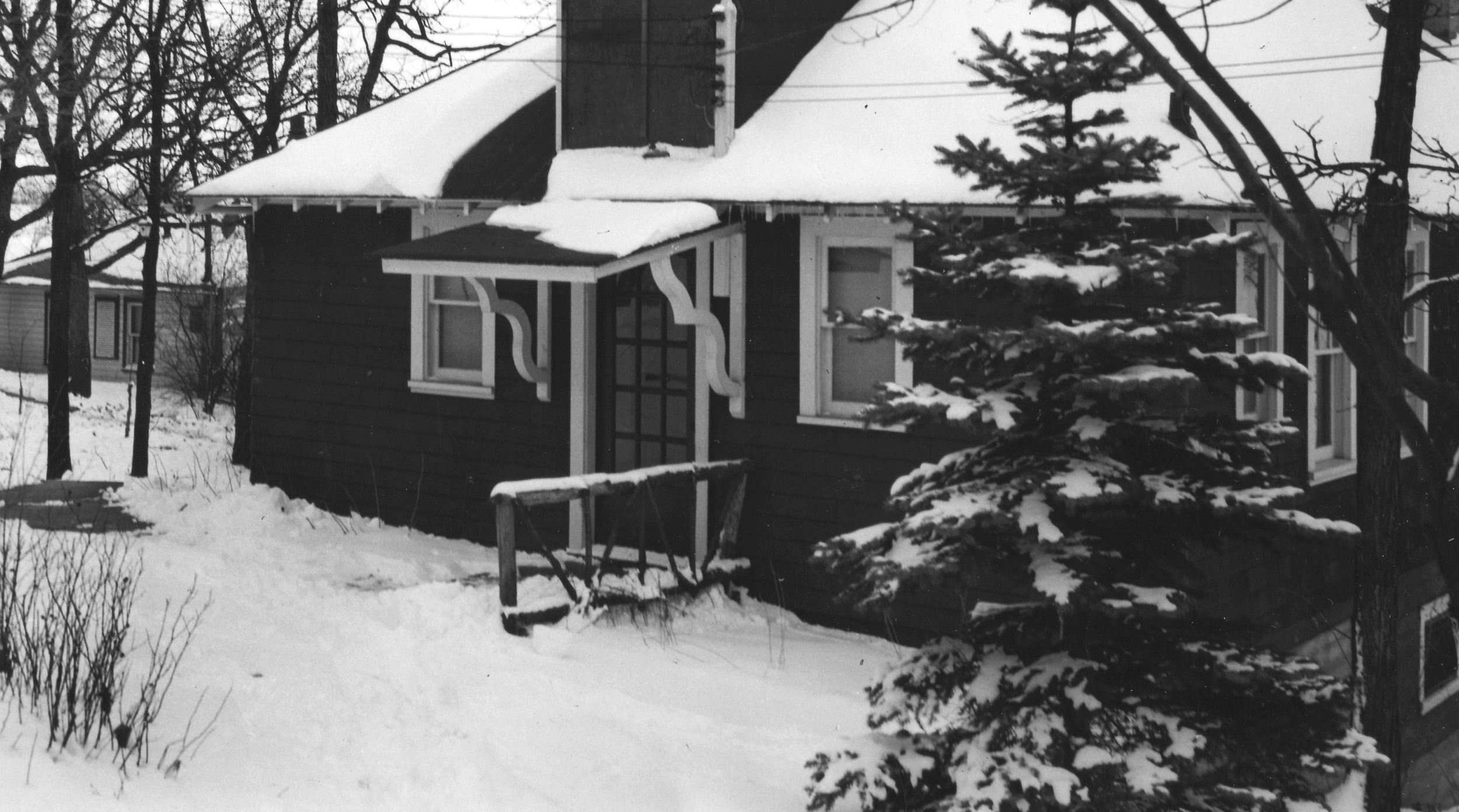 Another example of a primitive timber railing