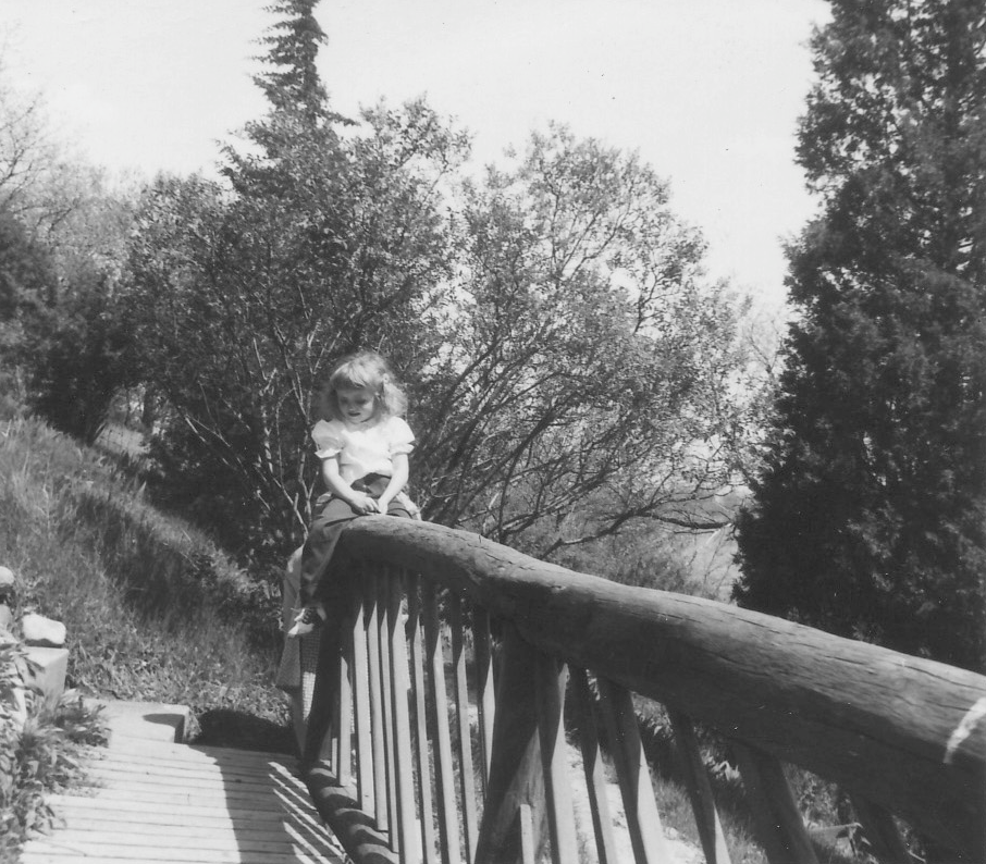 Photo of primitive timber railings