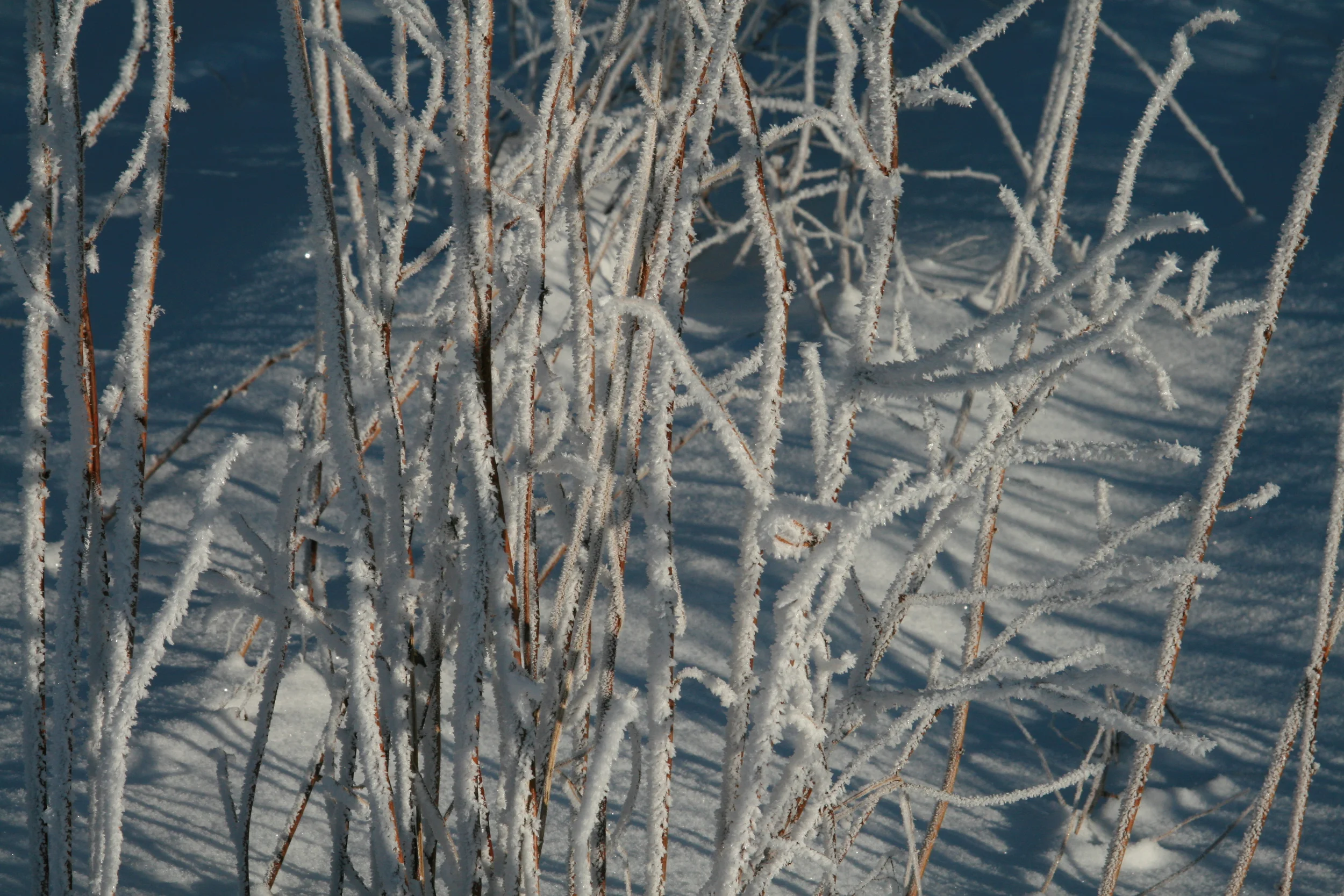 Heiligabend Gottesdienst