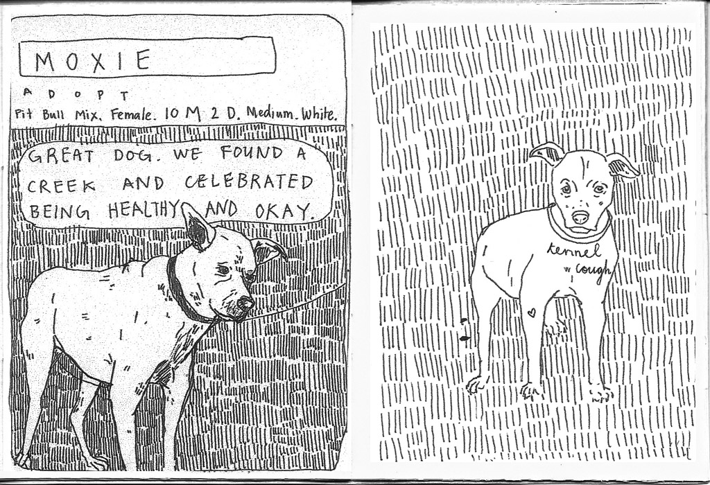 moxie