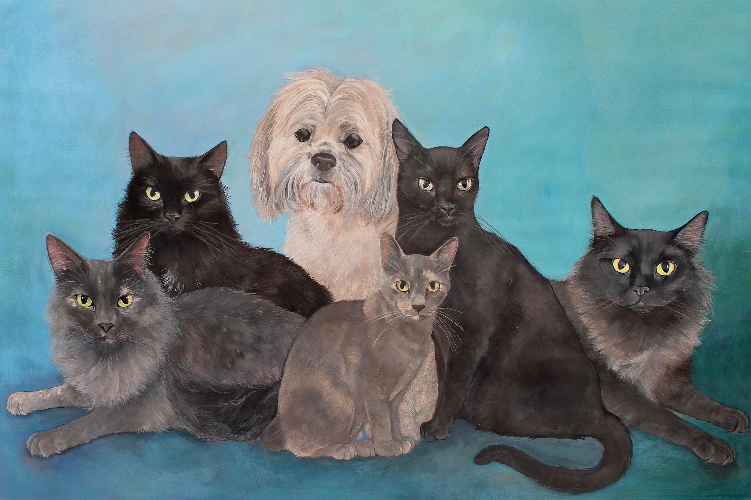 Sansa, Shae, Scooby, Belle, Brie, and Dexter
