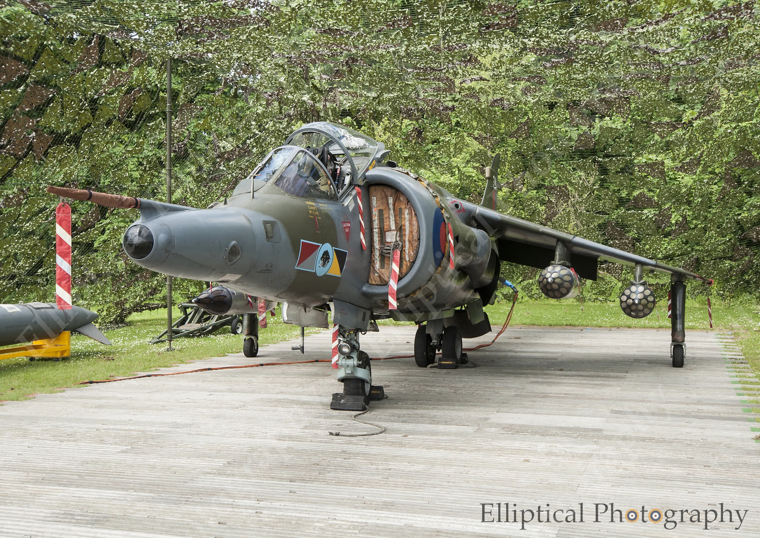 Harrier.jpg