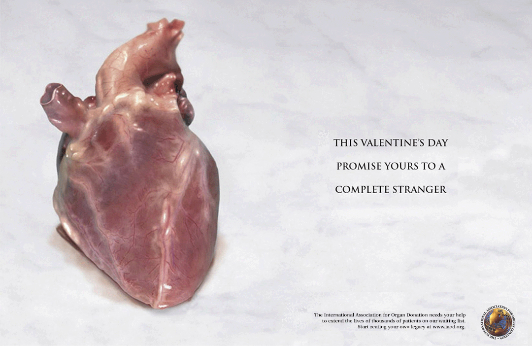 International Association for Organ Donation