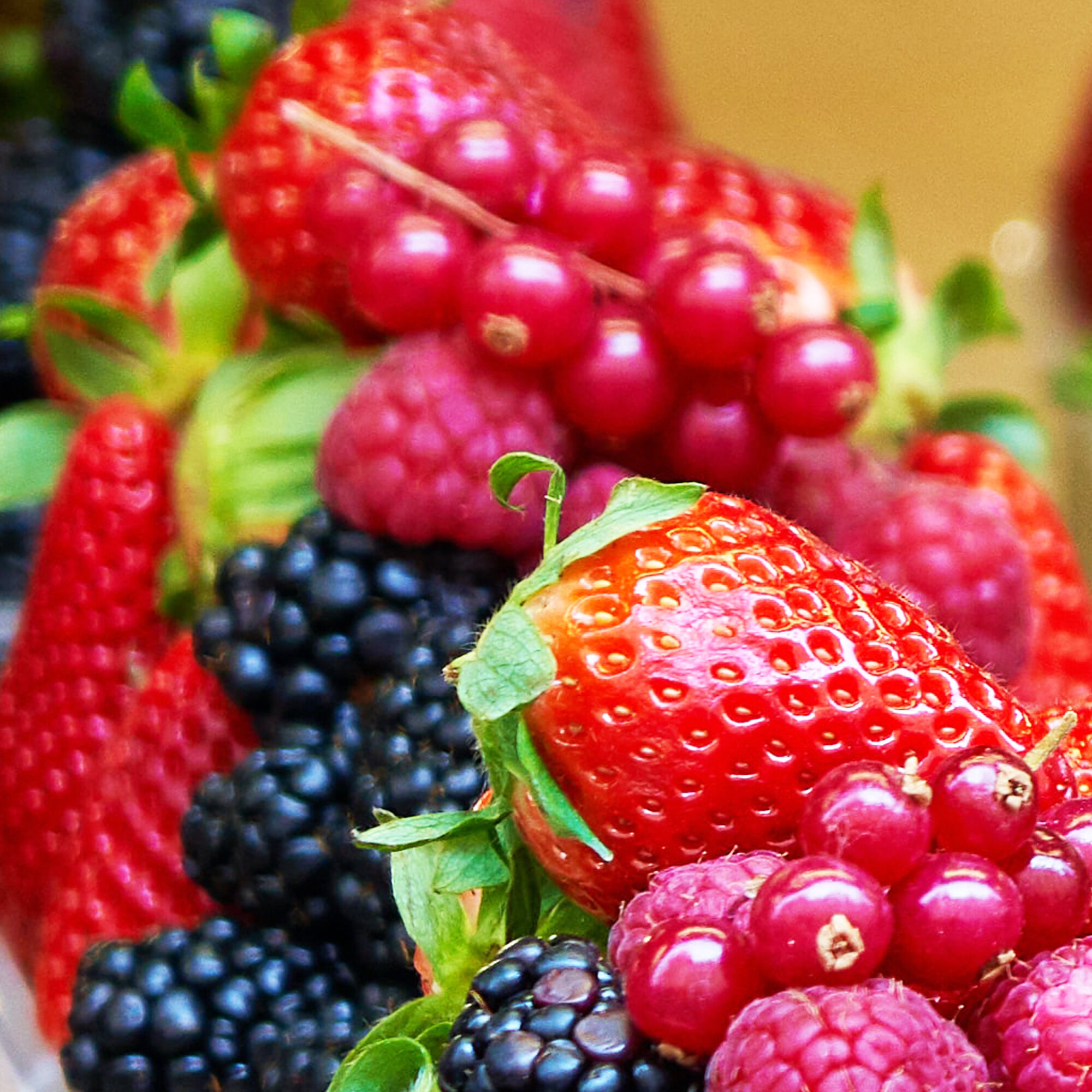 fruit.jpg