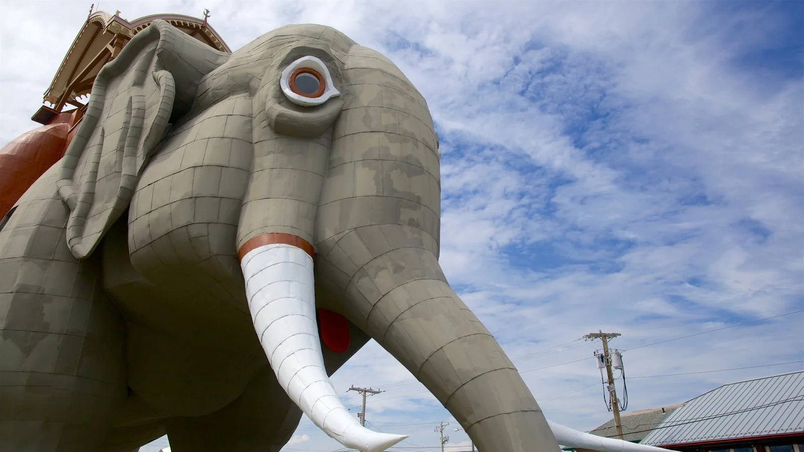 238646-Lucy-The-Elephant.jpg