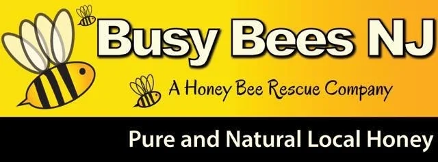 Busybee1.jpg