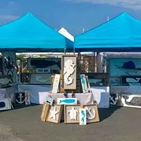 the saltyseamonkey.jpg