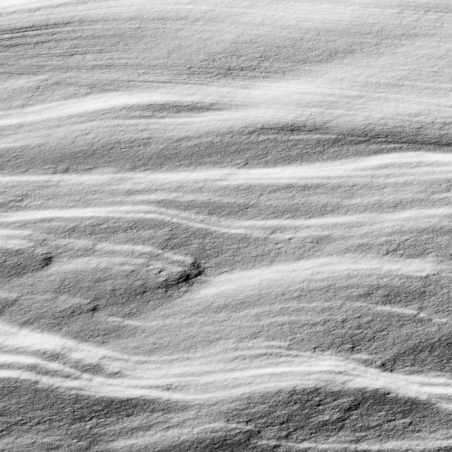 Boreas #4