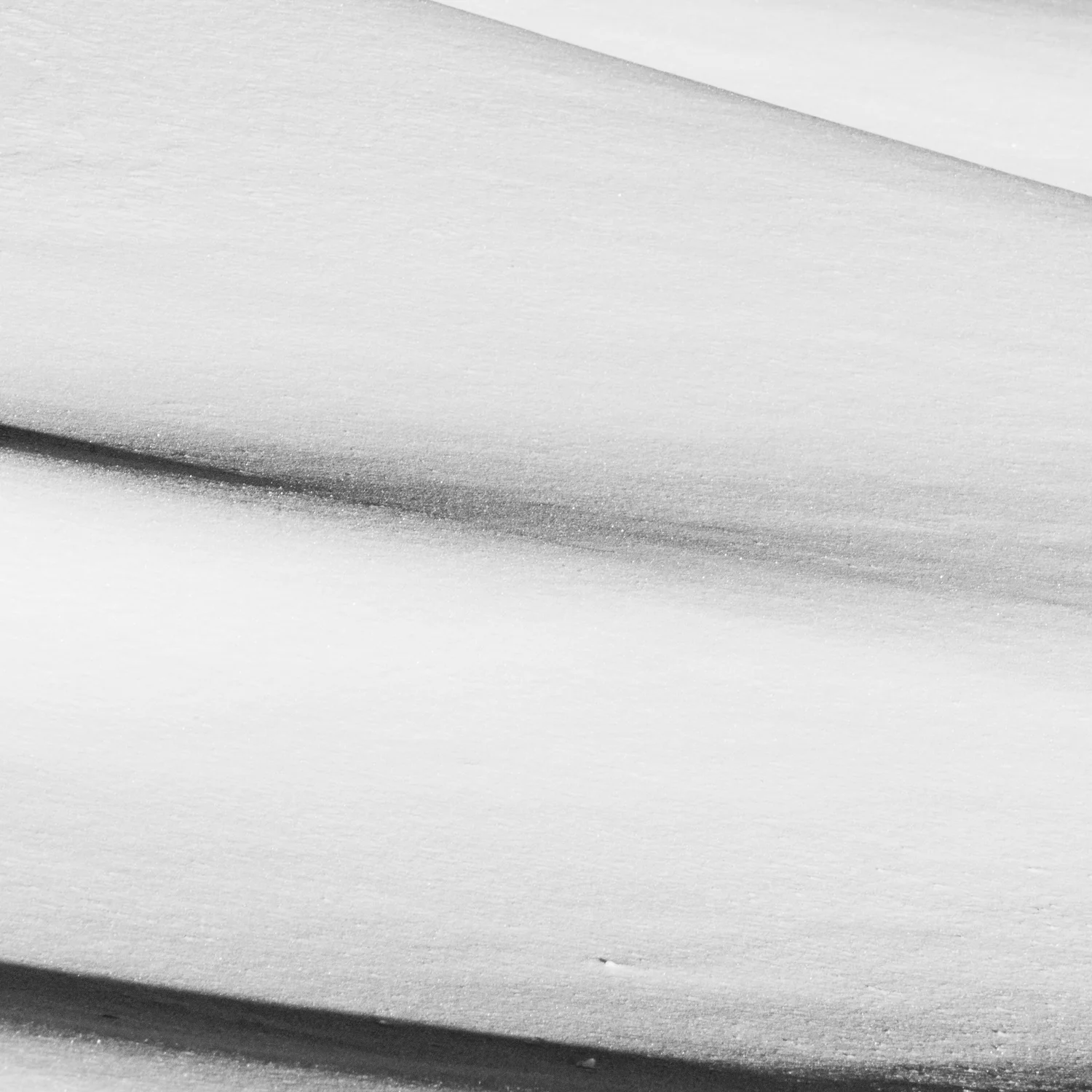 Boreas #6