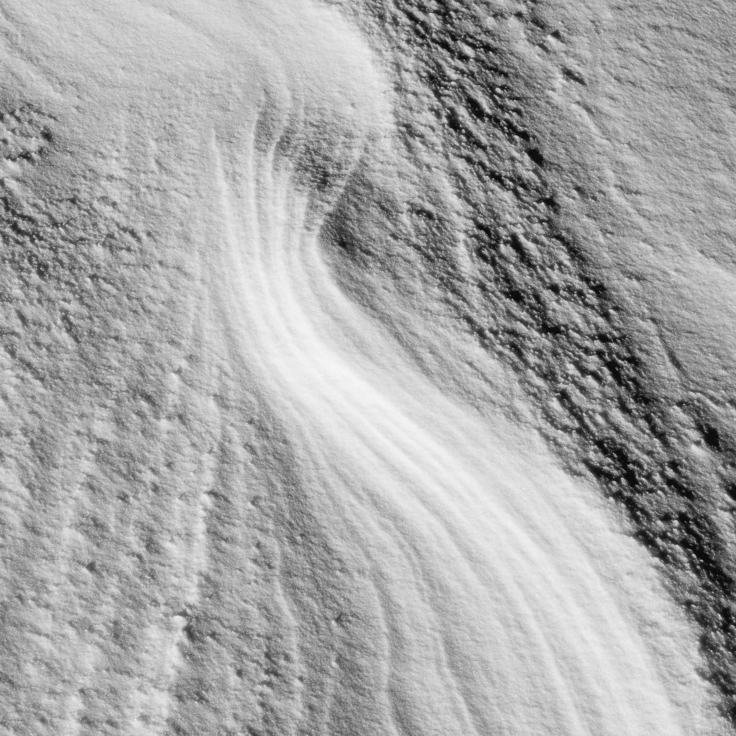 Boreas #10
