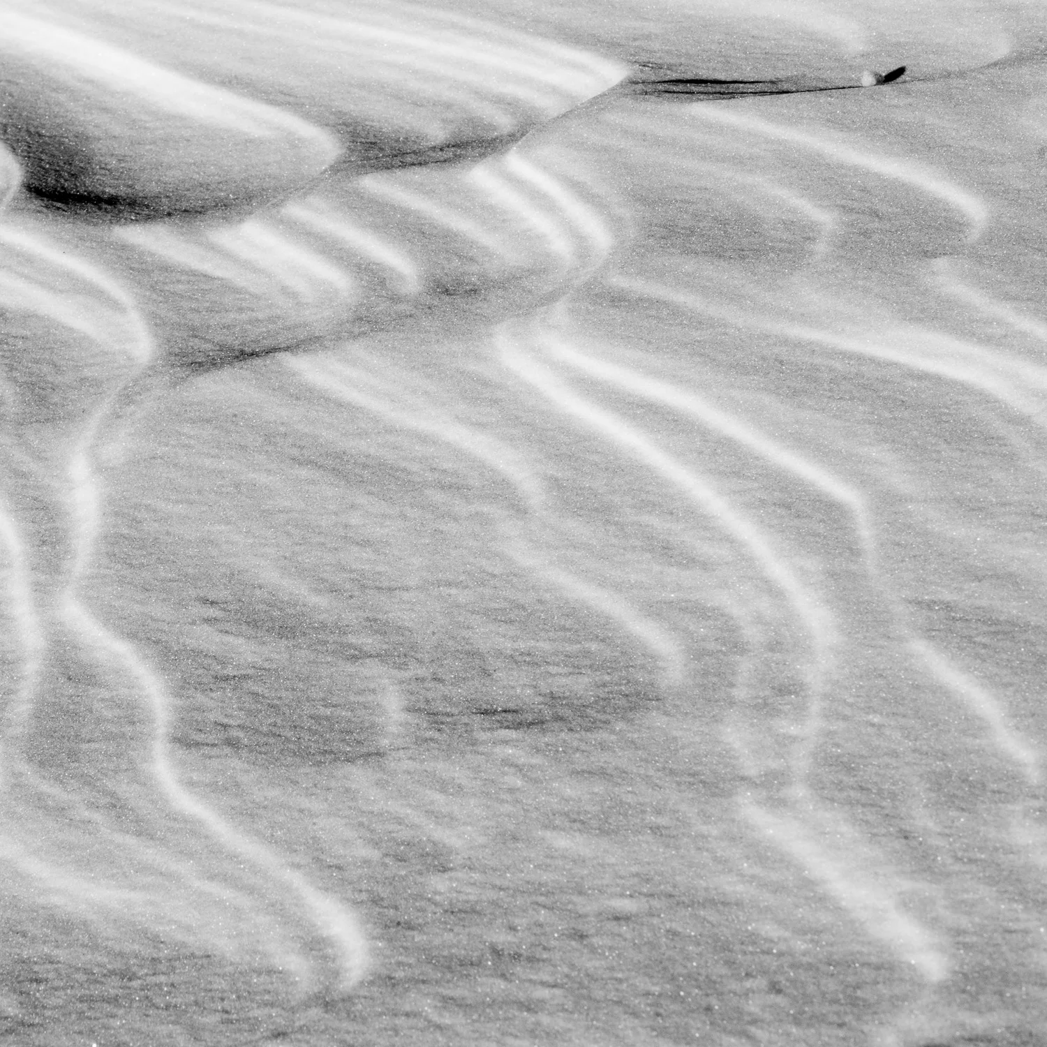 Boreas #24