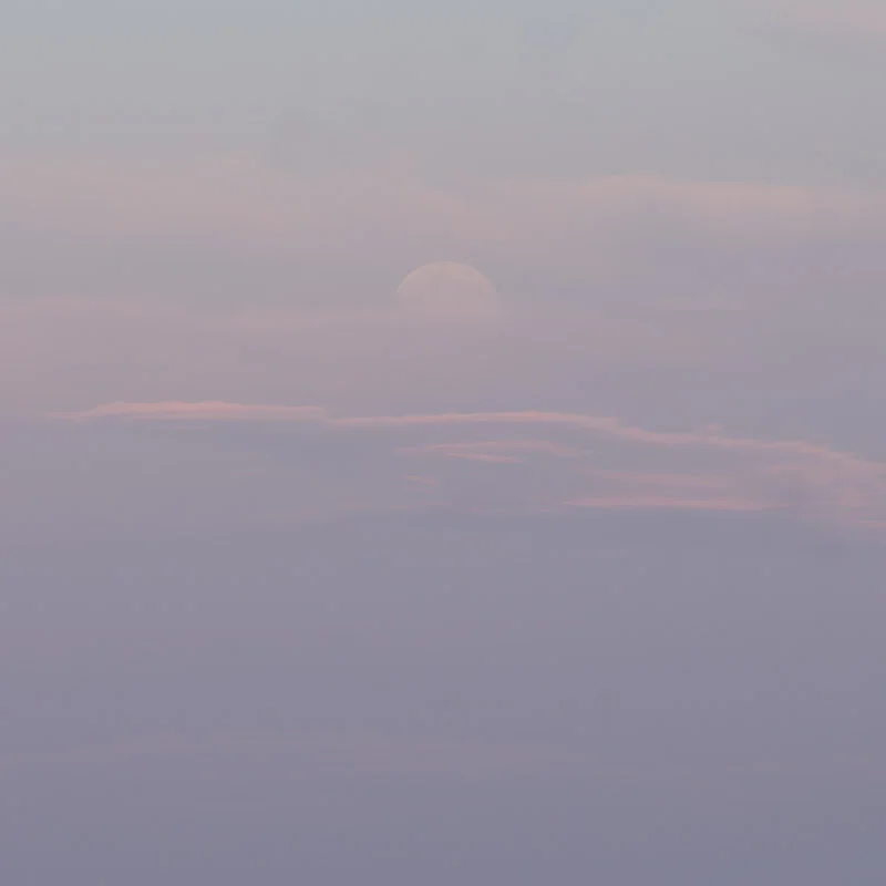 "Summer Moon I"