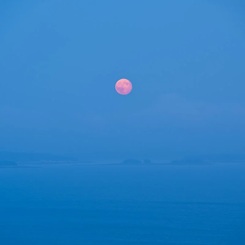 "Harvest Moon I"
