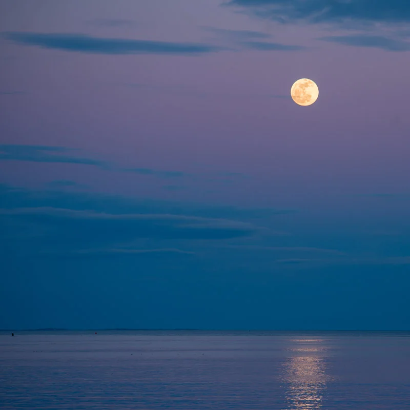 "Chaste Moon I"