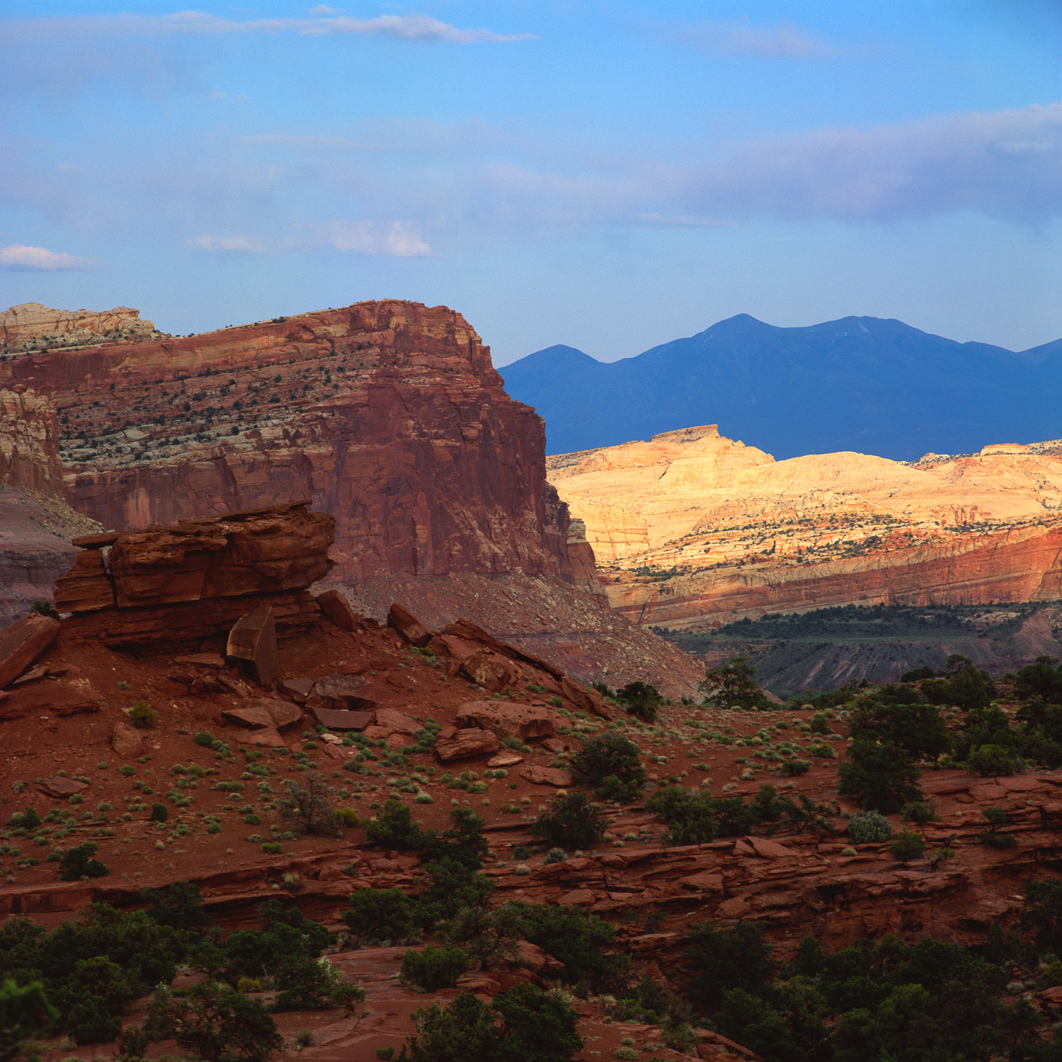 Panorama_Point_Utah_Nickelson.jpg