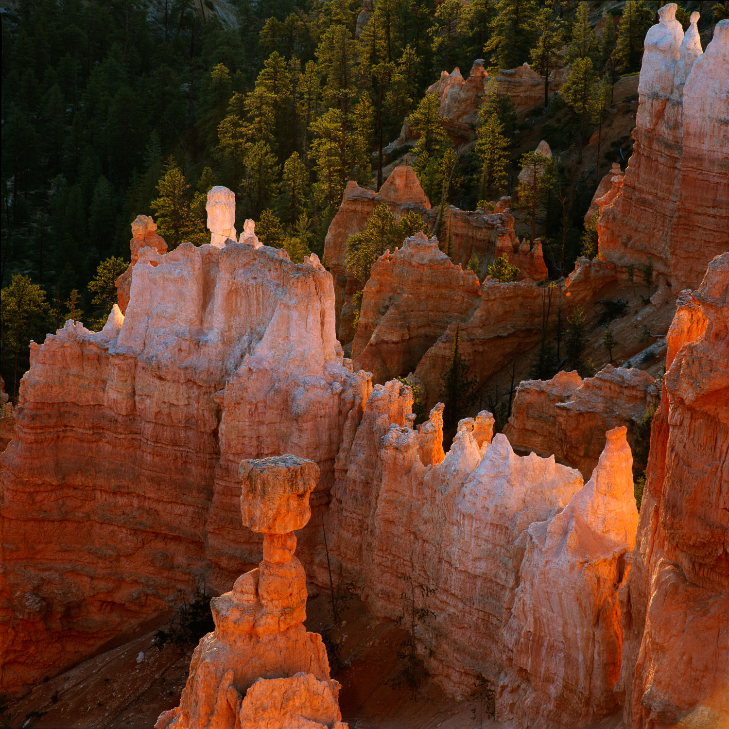 Thors_Hammer_Utah_Nickelson.jpg