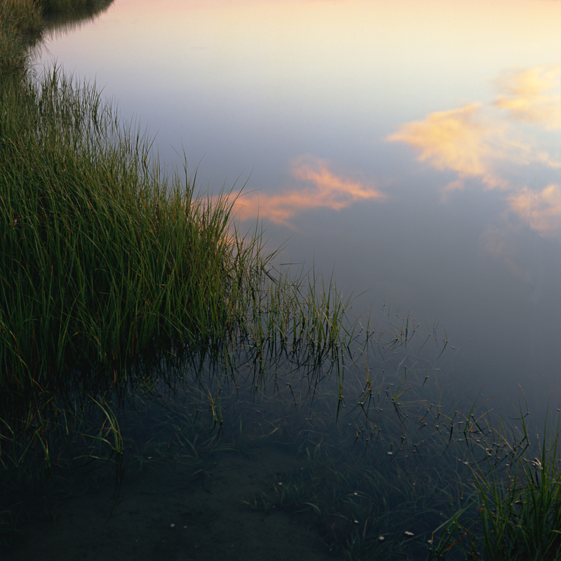 Nauset_Marsh_Sunrise_Fort_Hill_Cape_Cod_Nickelson.jpg