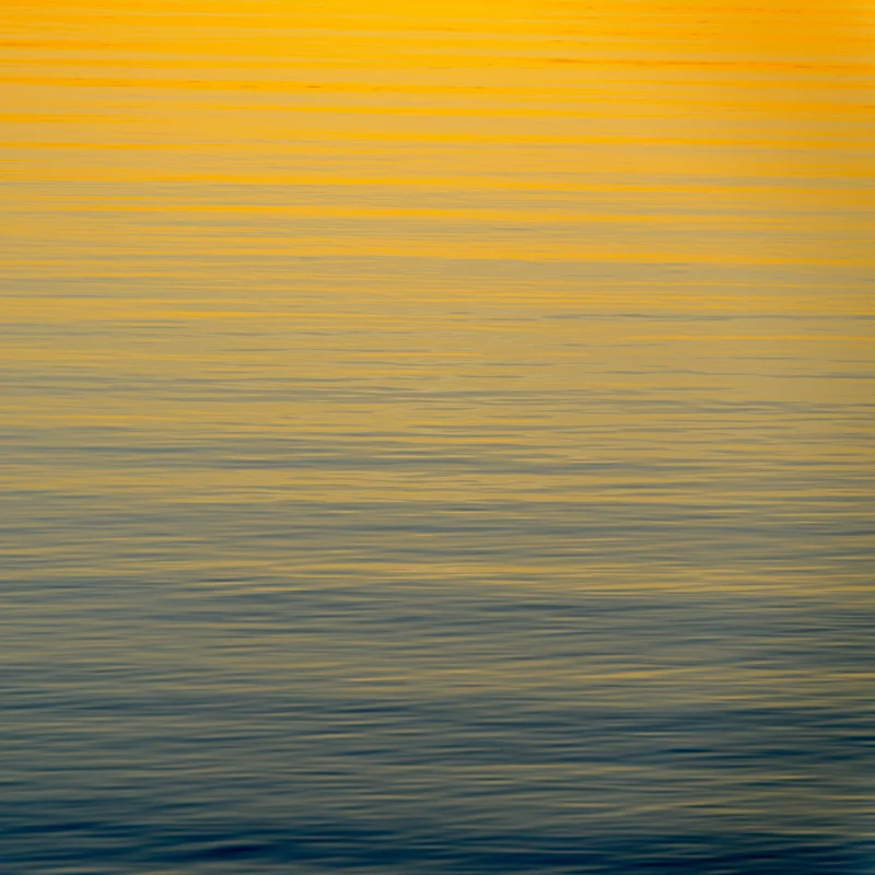 Twilight_Maine_Nickelson.jpg