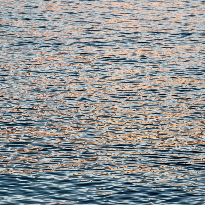 Waterscape-Blue-Gold-3-Lincolnville-Maine-Jim-Nickelson.jpg