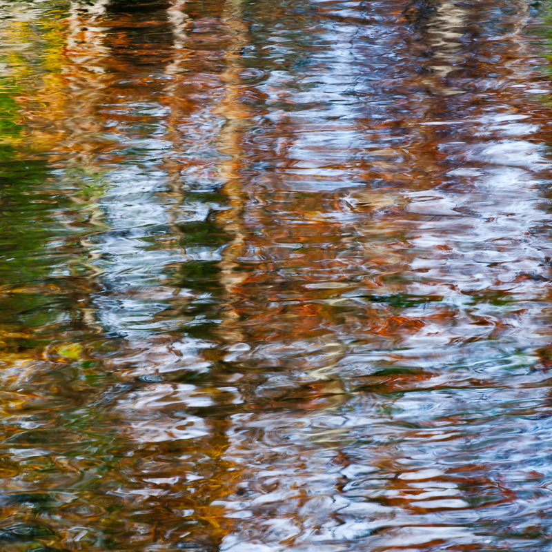 Waterscape-Fall-1-Megunticook-Maine-Jim-Nickelson.jpg