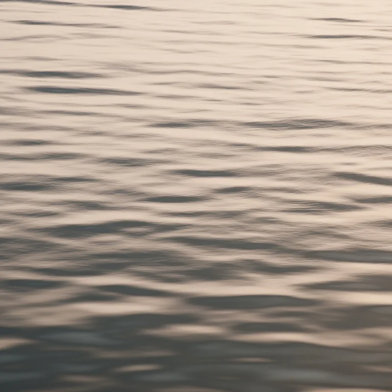 Waterscape-Whites-2-Jim-Nickelson.jpg