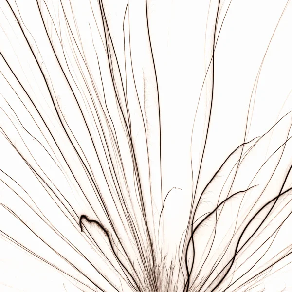 Pyrotechnic #109