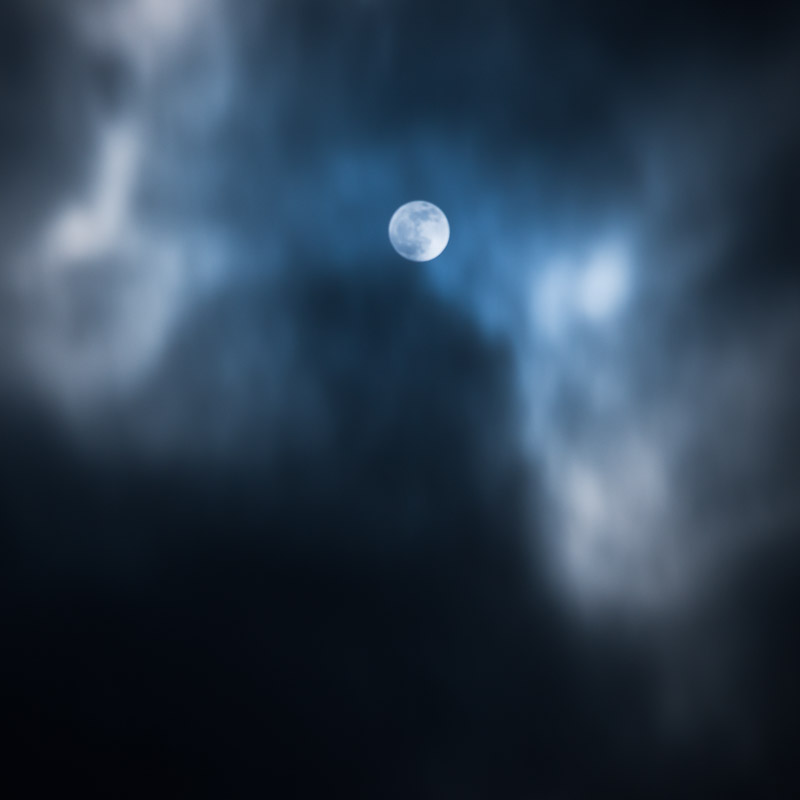 Wolf Moon I