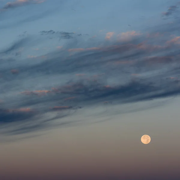 "Autumn Moon III", Copyright Jim Nickelson. All Rights Reserved.