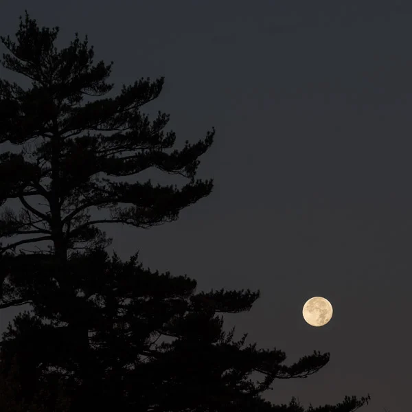 "Kindly Moon II", Copyright Jim Nickelson. All Rights Reserved.